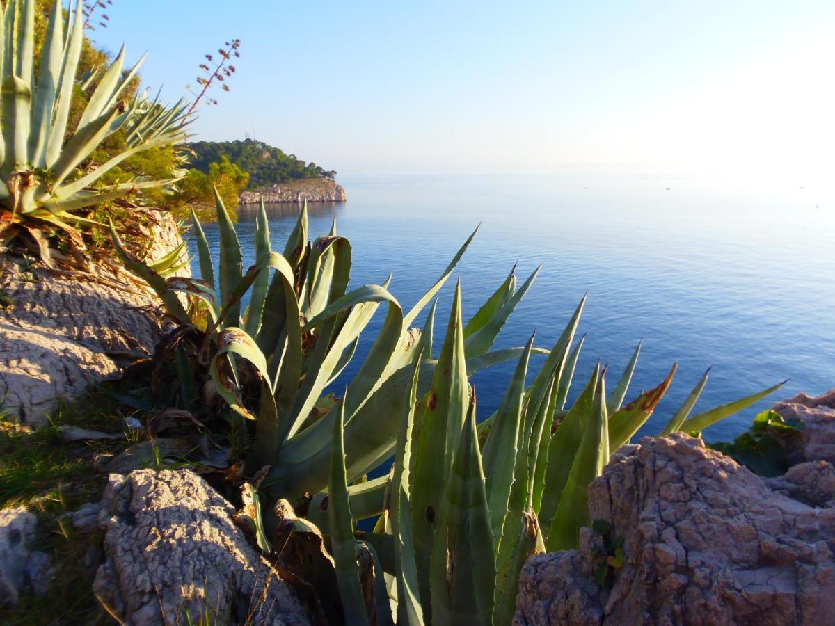 Apartment Burich Makarska Luaran gambar